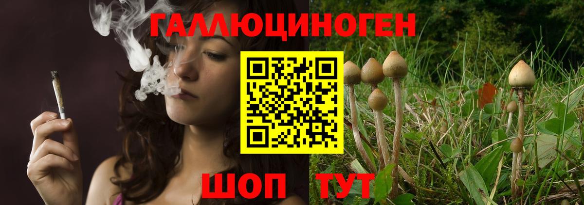 Мирный  Псилоцибиновые грибы мухоморы  Вход с VPN  Псилоцибиновые грибы прущие грибы 